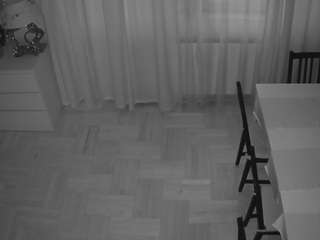 voyeurcam julmodels dining 2